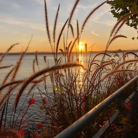 Toskana Mit Schwimmbad Und Sauna Bad Bergzabern