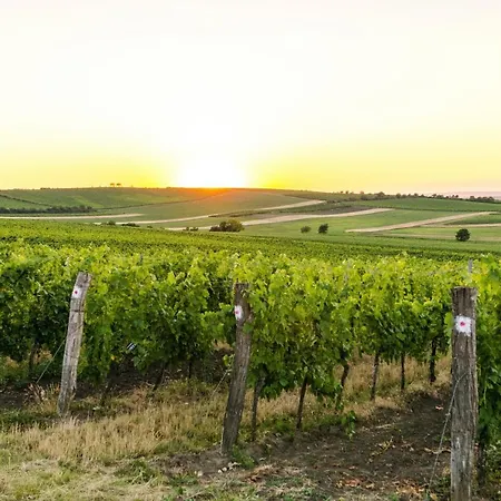 Apartamento Toskana Mit Schwimmbad Und Sauna *