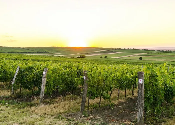 아파트 Toskana Mit Schwimmbad Und Sauna *